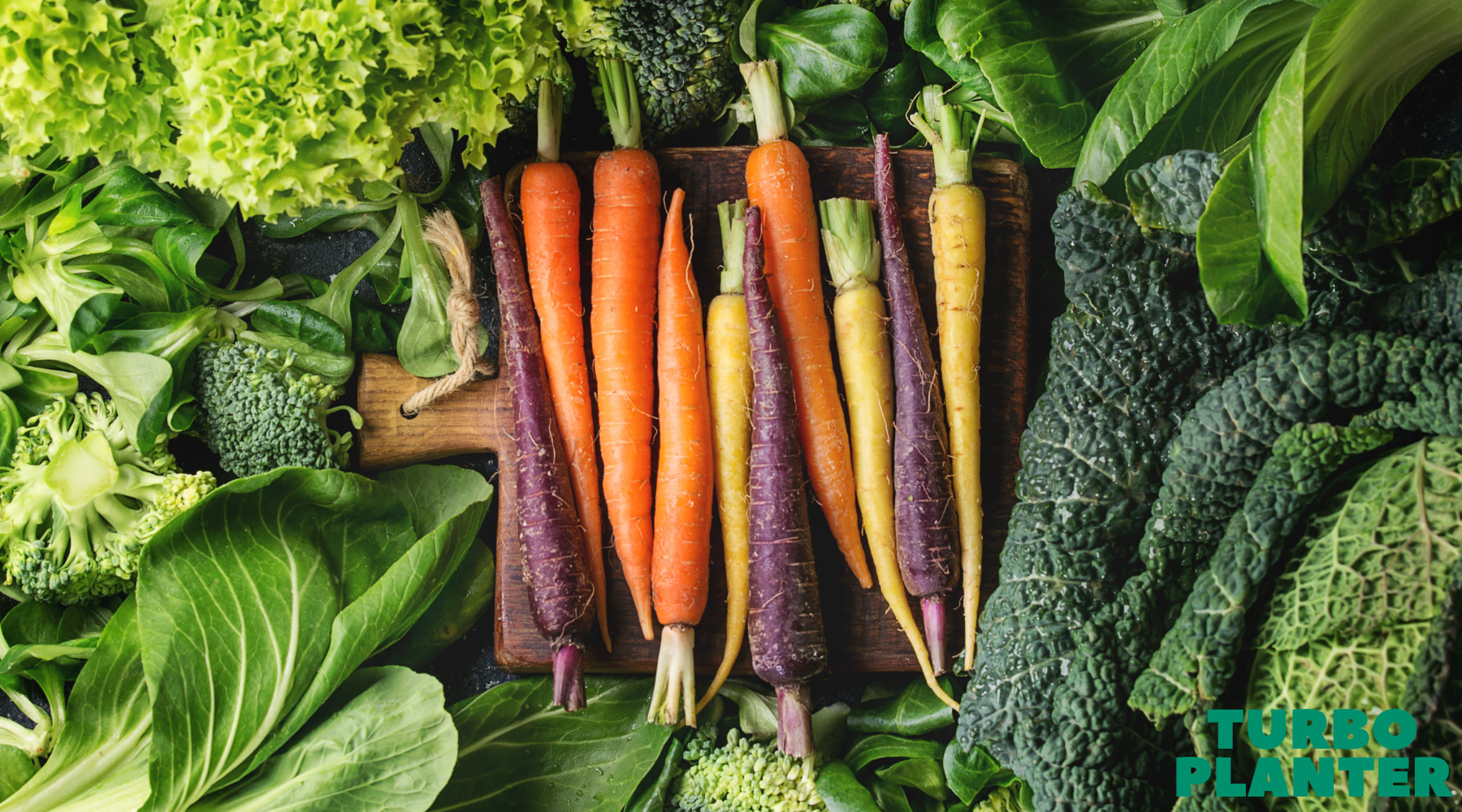 Les 8 légumes les plus faciles à cultiver chez soi